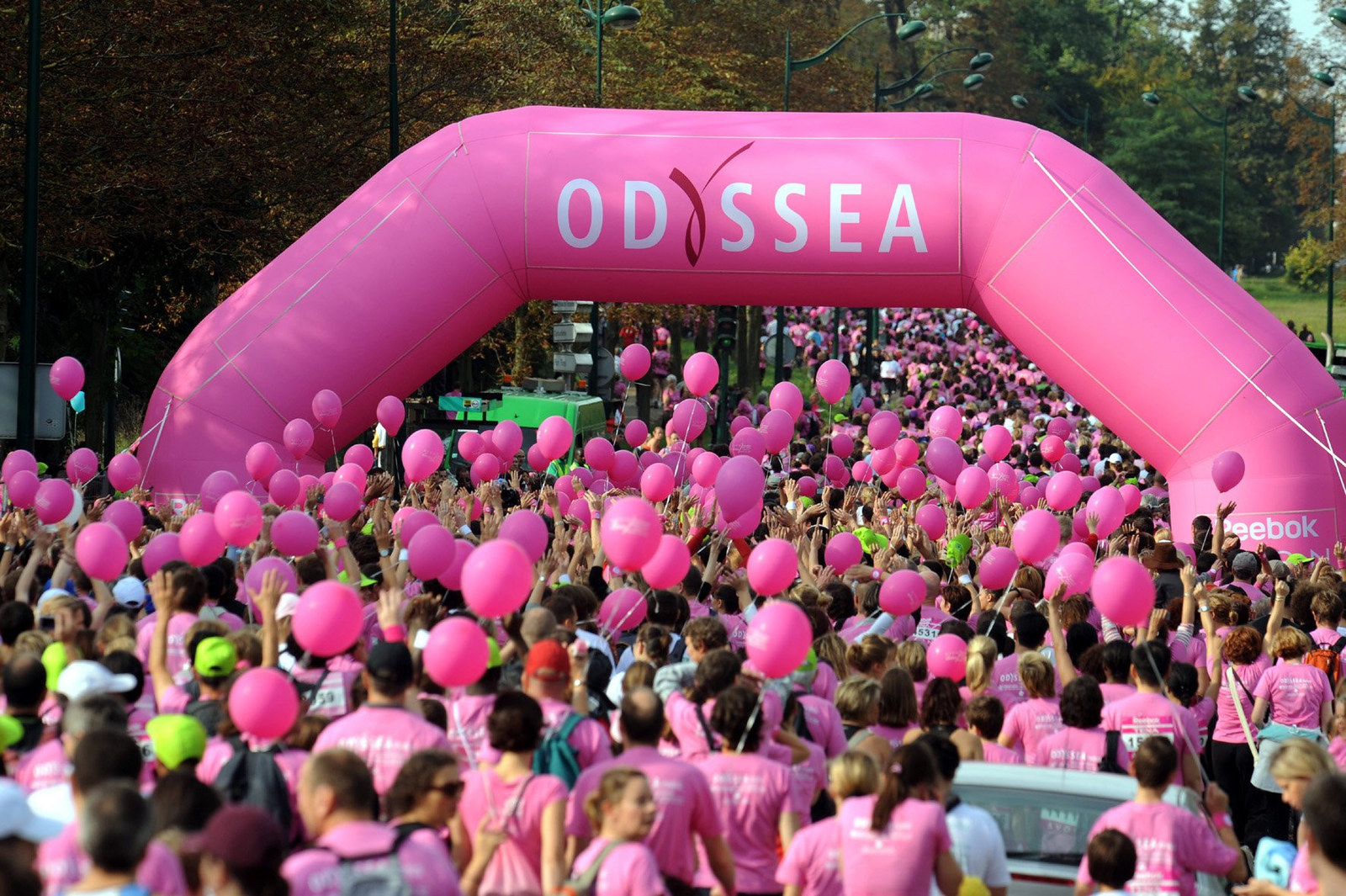odyssea odyssea